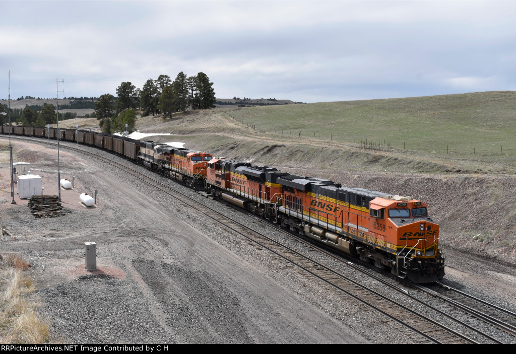 BNSF 9798/5802/9214/6258